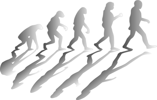 組織文化の醸成手順とは？構成要素やメリットなども解説