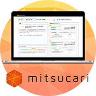 mitsucari image